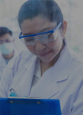 Design and Processing Support<br> &nbsp;